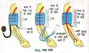 चित्र: रक्त दाब