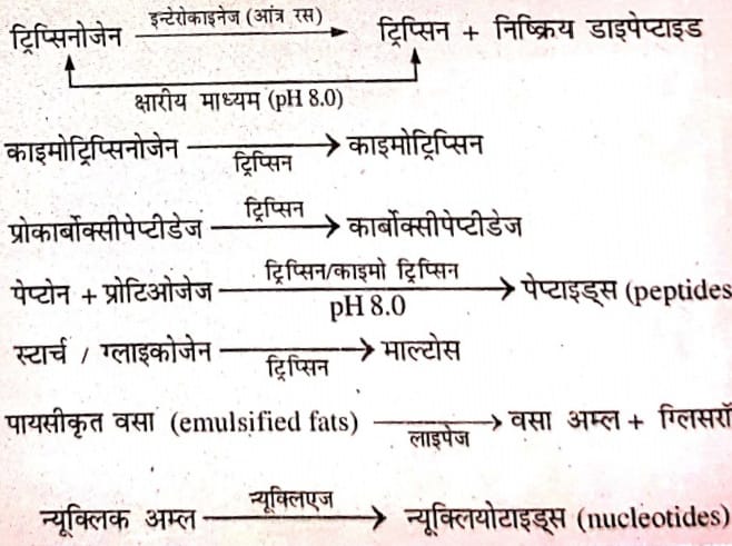 चित्र: ????????????????????