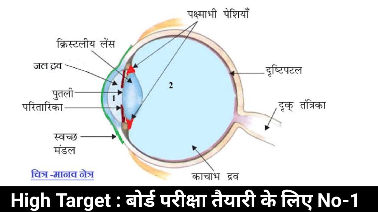 Manav Netra tatha Rang biranga Sansar question