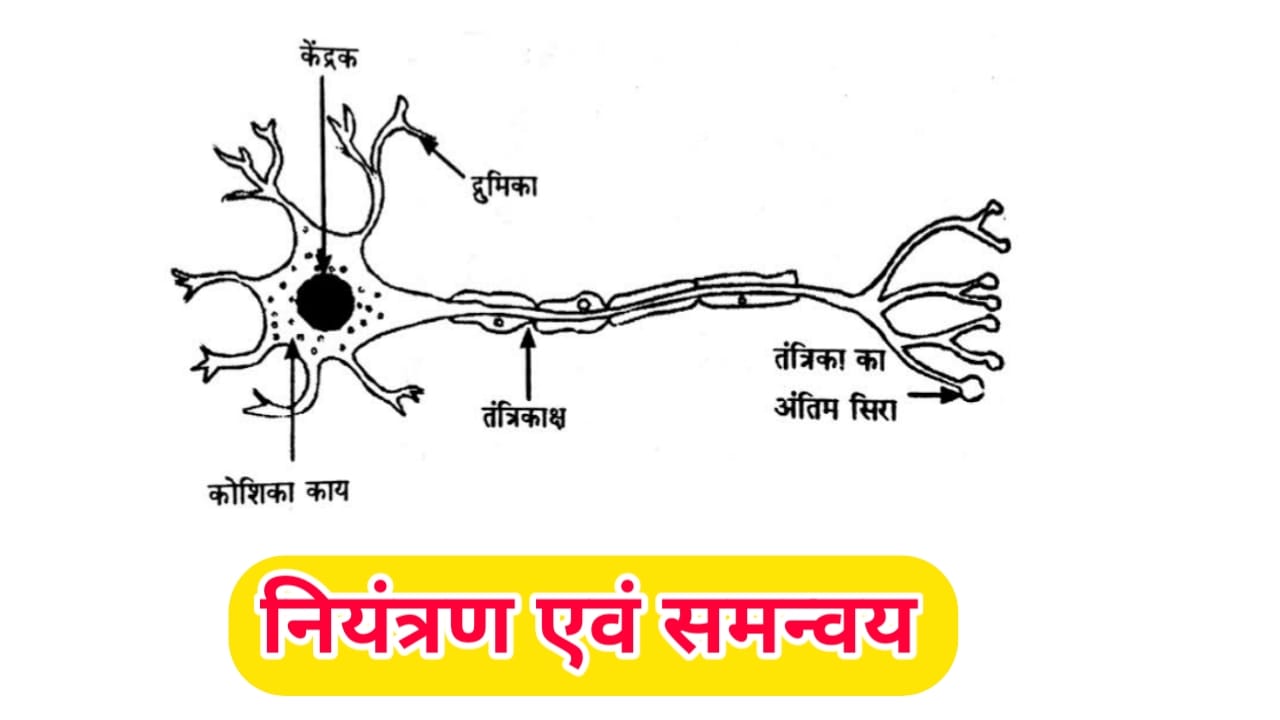 Niyantran evam samanvay