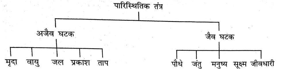 पारिस्थितिक तंत्र के विभिन्न घटकों को एक चित्र से दर्शाएँ।