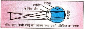 पर्तिबिम्ब