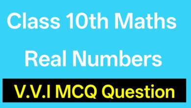 Class 10 Math Chapter 1 Real Numbers Objective Class 10th vastavik sankhya objective question